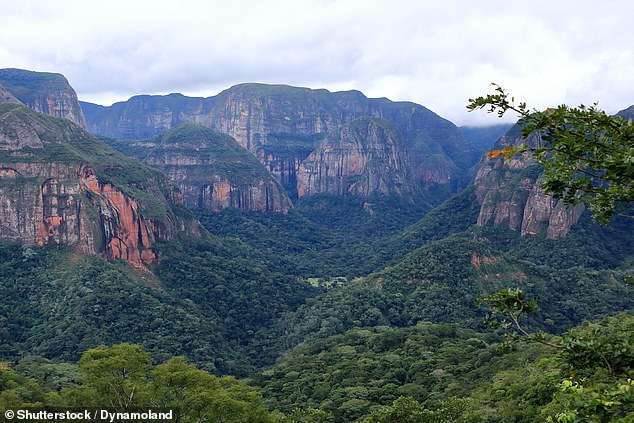 Trump administration adds another CDC travel advisory for deadly virus as it spreads to Americas