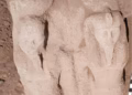 Biblical discovery in Egypt as statue linked to story of Moses is pulled from the Nile