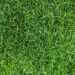Lawns will be greener and less patchy if you scatter common item in garden