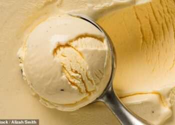Ice cream urgently recalled in 17 states over fears of contamination with dangerous metal