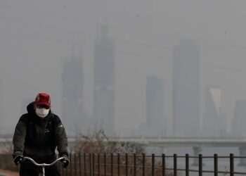 Just ONE hour of exposure to common air pollutants is enough to alter brain and lung function, study suggests