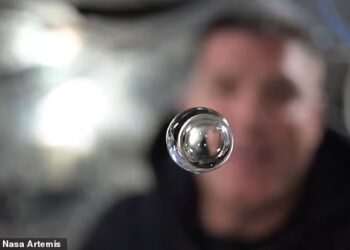 ‘Like a crystal clear ball!’: NASA shares incredible video revealing what happens to water floating in space