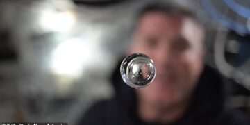‘Like a crystal clear ball!’: NASA shares incredible video revealing what happens to water floating in space