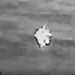 New biblical fears as declassified UFO files reveal ‘angels’ in flight