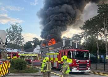 All animals including meerkats and giant tortoises die in fire at UK children’s mini zoo