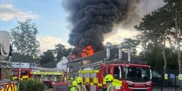 All animals including meerkats and giant tortoises die in fire at UK children’s mini zoo