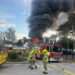 All animals including meerkats and giant tortoises die in fire at UK children’s mini zoo