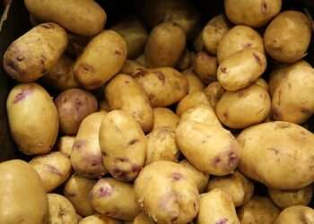 Eating potatoes CAN help you drop pant sizes… dietitians reveal how to make the carb part of a weight-loss diet
