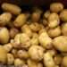 Eating potatoes CAN help you drop pant sizes… dietitians reveal how to make the carb part of a weight-loss diet