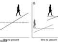 Growth spurt! Humans ‘jumped’ in size two million years ago, scientists reveal