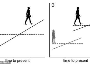 Growth spurt! Humans ‘jumped’ in size two million years ago, scientists reveal