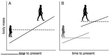 Growth spurt! Humans ‘jumped’ in size two million years ago, scientists reveal