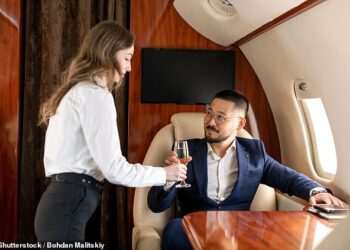 How much does it really cost to own a private jet? From the extortionate cost of maintenance to thousands just on admin, our experts lift the lid on the super-rich’s favourite purchase