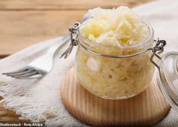 Incredible truth about simple steak and sauerkraut diet that helped RFK Jr lose 20lbs in 30 days: Experts reveal how you can slim down FAST, banish stubborn belly fat… but warn of one major drawback