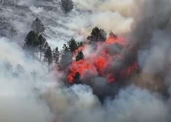 Wildfire burns in Peak District as Britain records hottest June day again and red weather warning is extended