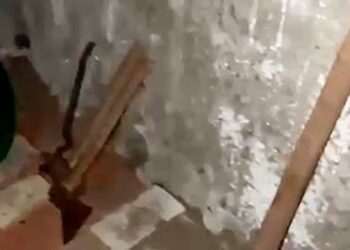 Blood-stained ‘torture chamber’ with axes and hammers is found in home of ‘ex cop who shot female Monaco bomber dead’ – as it’s revealed ‘he and spy had sent her crypto funds’