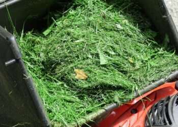 Monty Don’s July warning to gardeners over grass clipping mistake