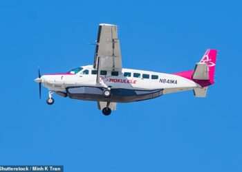 Mysterious white object that ‘popped through the clouds’ forces pilots to swerve midair: ‘It scared the hell out of me’