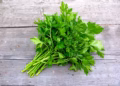 Parsley and cilantro implicated in outbreak of parasite that causes ‘explosive’ bathroom emergencies