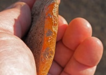 Prehistoric discovery in the Oregon mountains older than Egypt’s Great Pyramid could rewrite human history