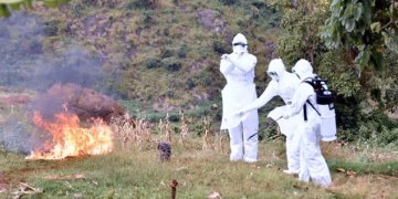 US issues travel advisory after cases of eye-bleeding disease are reported in region already battling Ebola outbreak