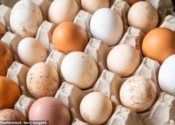 Chicken – not just eggs – now implicated in ‘ongoing’ salmonella outbreak: UK worst hit as deadly bug spreads to seven countries
