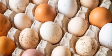 Chicken – not just eggs – now implicated in ‘ongoing’ salmonella outbreak: UK worst hit as deadly bug spreads to seven countries