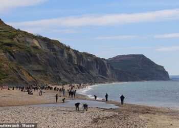 How TikTok and Instagram are fuelling a fossil-hunting boom on Britain’s Jurassic Coast