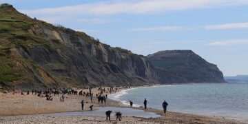 How TikTok and Instagram are fuelling a fossil-hunting boom on Britain’s Jurassic Coast