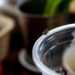 How to get rid of flies in your home, according to a pest expert