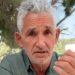 Professor Tim Spector issues bran flakes breakfast warning