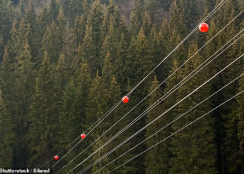 Reason for mysterious orange and white balls seen floating on power lines across America revealed by expert