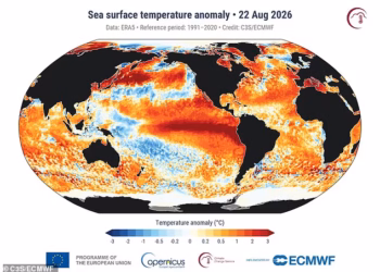 The ominous sign Super El Niño is ramping up: Global ocean temperatures hit a record high – and scientists say the worst is yet to come