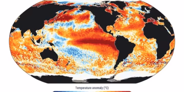 The ominous sign Super El Niño is ramping up: Global ocean temperatures hit a record high – and scientists say the worst is yet to come