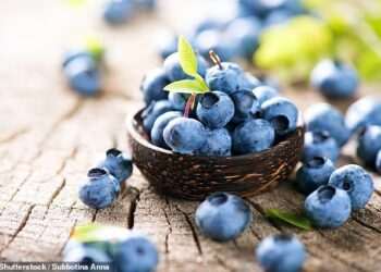 Blueberries can ‘switch on fat-burning mode’ in muscle cells, study finds