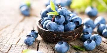 Blueberries can ‘switch on fat-burning mode’ in muscle cells, study finds