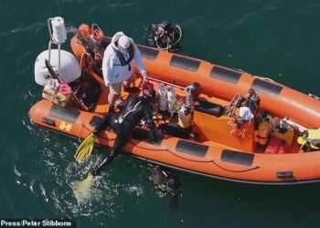 Diver explores mysterious British town beneath the sea that vanished 700 years ago and was home to just 117 people